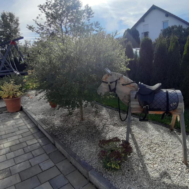 Ferienwohnung Ludwigshöhe - Apartamento de 2 dormitorios - 16