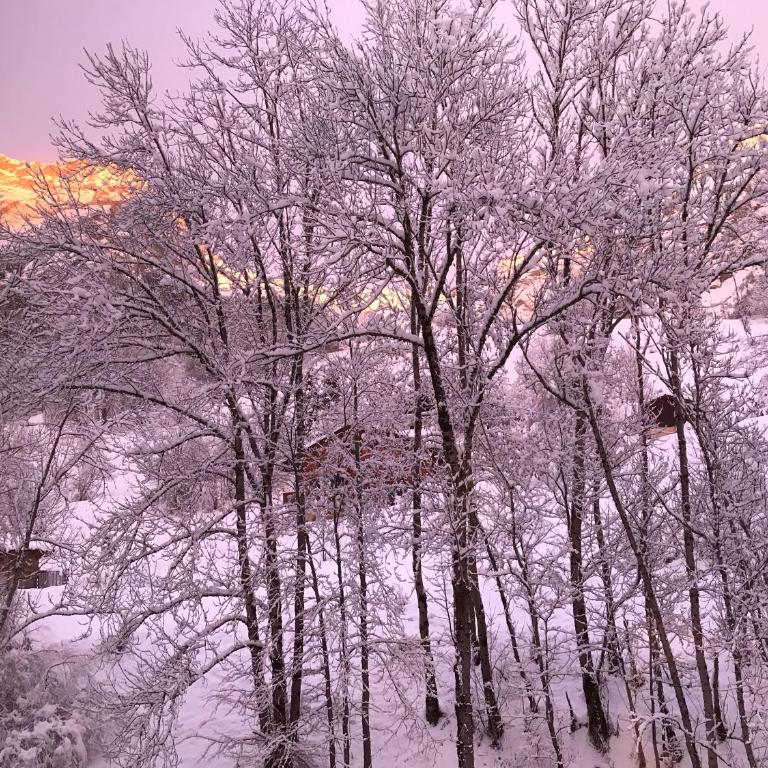 Superbe T3 neuf en bord de rivière près d'Annecy - Appartement - Rez-de-Chaussée - 12