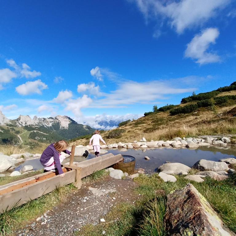 Waldner's Ferienwohnung - Apartment mit Blick auf die Berge - 50
