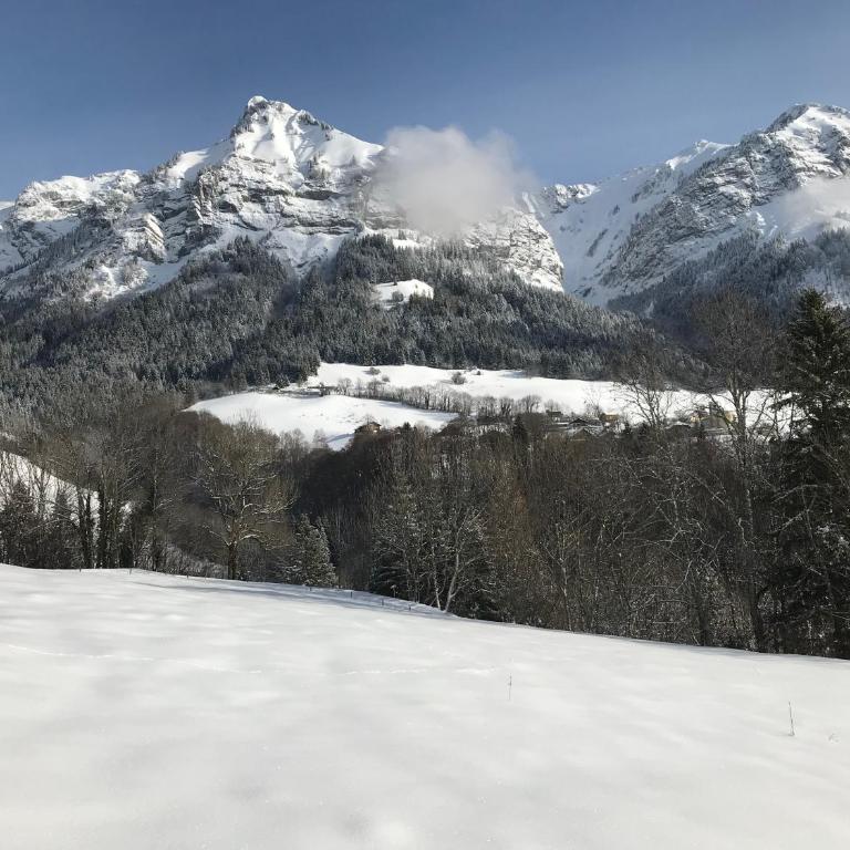 Superbe T3 neuf en bord de rivière près d'Annecy - Appartement - Rez-de-Chaussée - 17