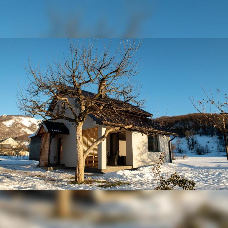 House For Rest VIN - Kuća sa 1 Spavaćom Sobom - 8