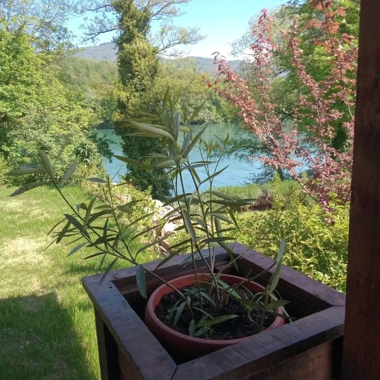 NIKOLIJA 3 - Apartman sa 1 Spavaćom Sobom - 16