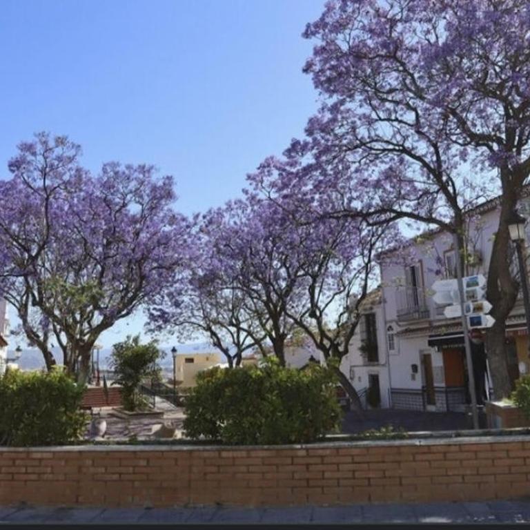 PENTHOUSE NEAR BEACH AND MALAGA TOWN also monthly hire and long term RENTAL CAR AVAILABLE - Casa de 3 dormitorios - 26