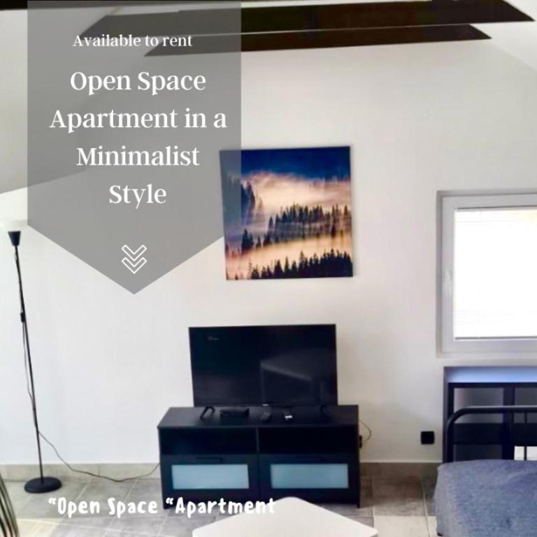 Open Space Apartment - Apartman sa 3 Spavaće Sobe - 28