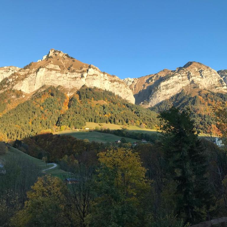 Magnifique T3 entre lac et montagne près d'Annecy - Appartement 2 Chambres - 12