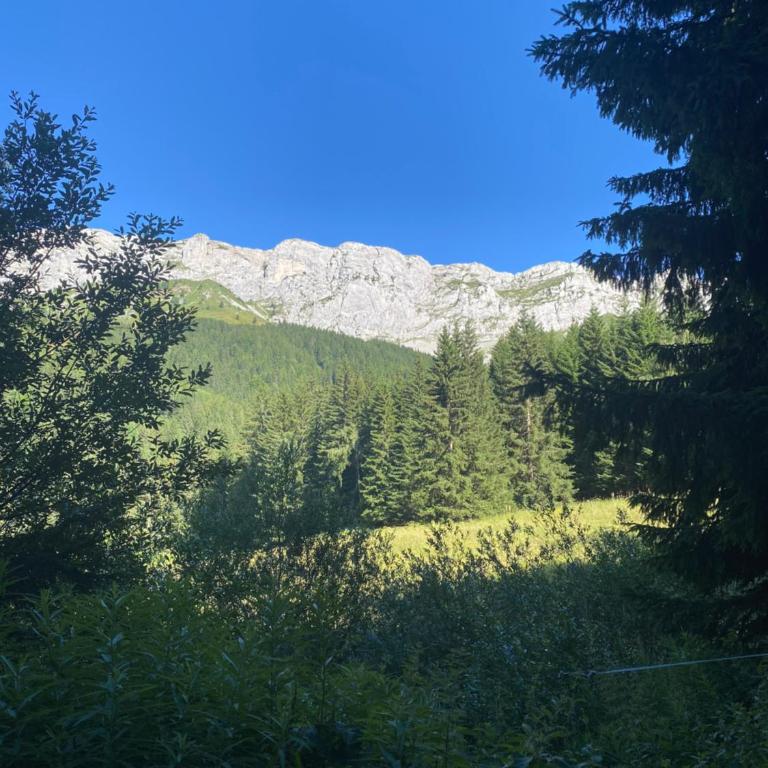CRÊTES DU VERCORS VUE MAGNIFIQUE - Appartamento con 1 Camera da Letto - 21