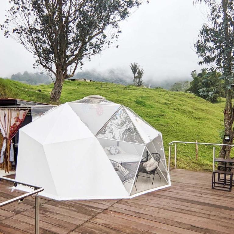 Glamping Reserva del Roble - Habitación Deluxe - 1 cama grande - 3