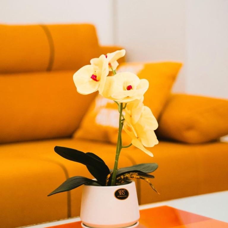 Golden Place Belgrade - Apartman sa 1 Spavaćom Sobom - 16