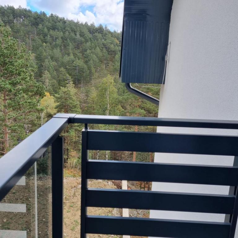 Apartmani Ćirić Divčibare - Apartman sa 1 Spavaćom Sobom - 11
