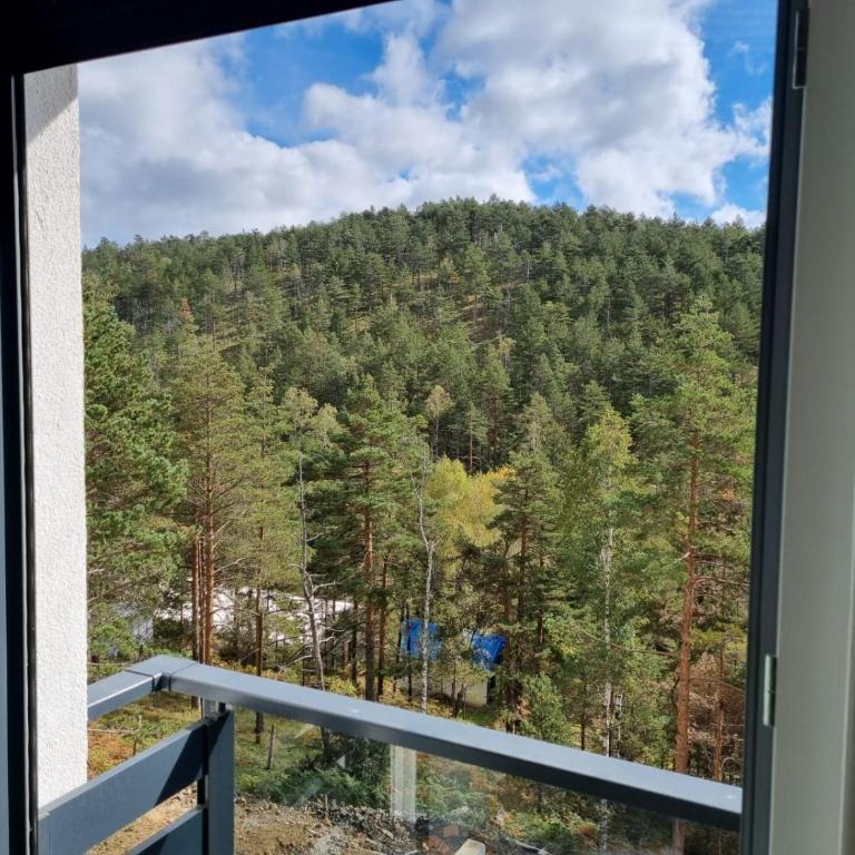 Apartmani Ćirić Divčibare - Apartman sa 1 Spavaćom Sobom - 20