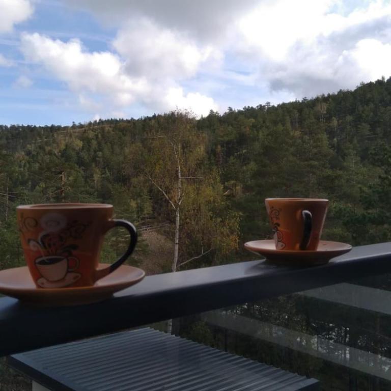 Apartmani Ćirić Divčibare - Apartman sa 1 Spavaćom Sobom - 22