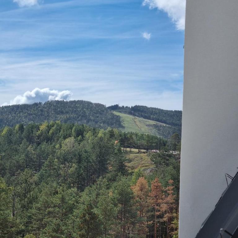 Apartmani Ćirić Divčibare - Apartman sa 1 Spavaćom Sobom - 36