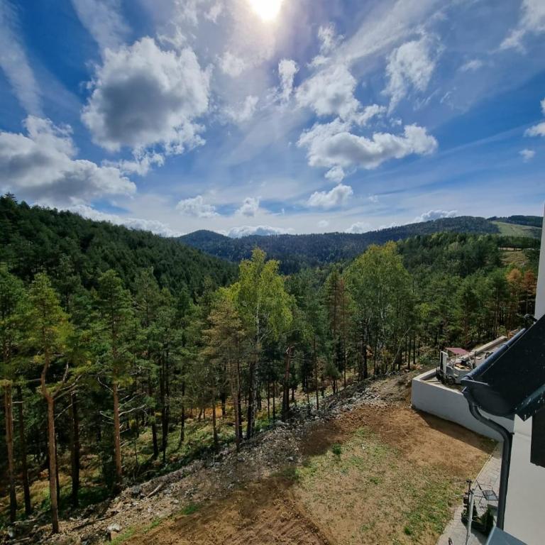 Apartmani Ćirić Divčibare - Apartman sa 1 Spavaćom Sobom - 46