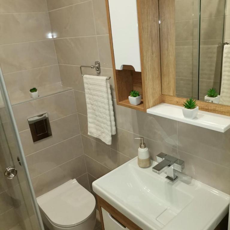 Apartmani Ćirić Divčibare - Apartman sa 1 Spavaćom Sobom - 49