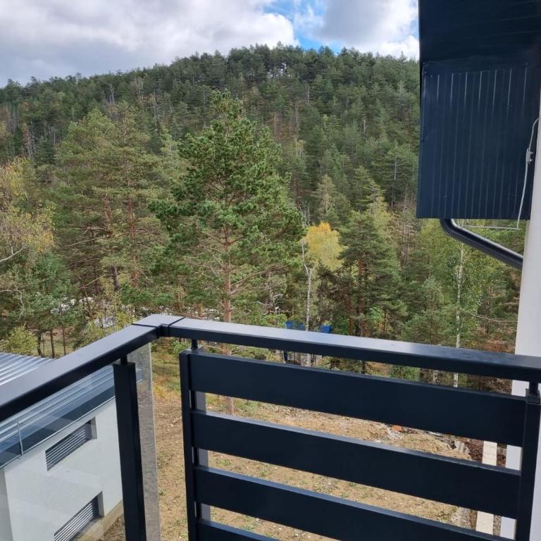 Apartmani Ćirić Divčibare - Apartman sa 1 Spavaćom Sobom - 53