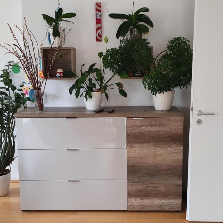 moderne 4 Zimmer -Wohnung I BBQ I Parkplatz - Apartment mit Gartenblick - 4