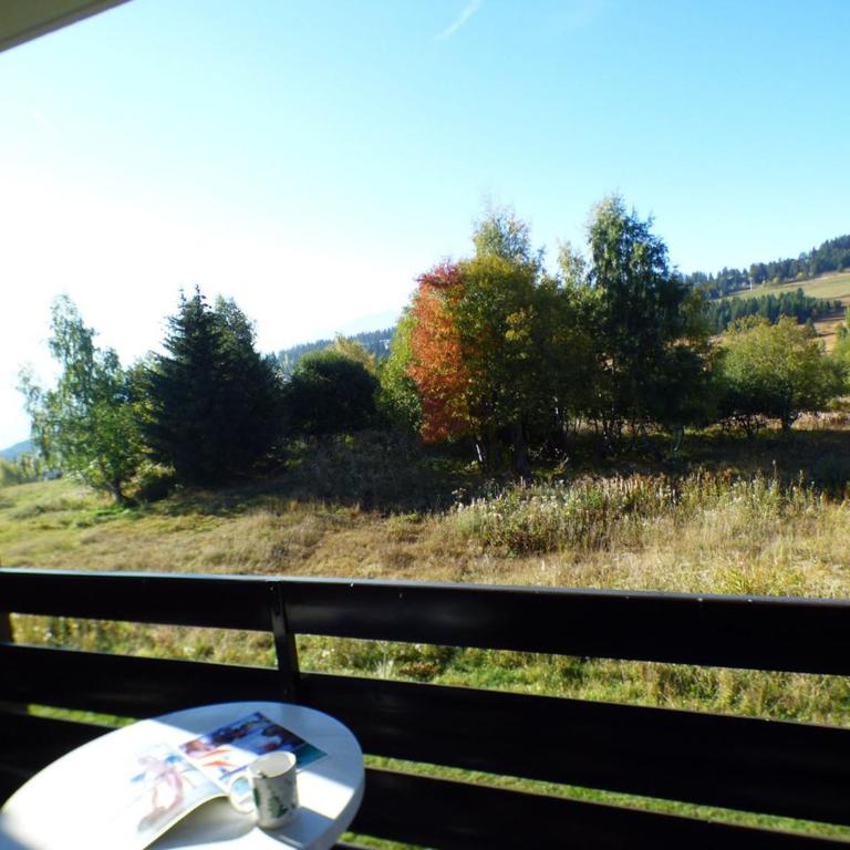 Studio cosy Les Saisies 4 pers proche commerce - Apartment mit 1 Schlafzimmer - 6