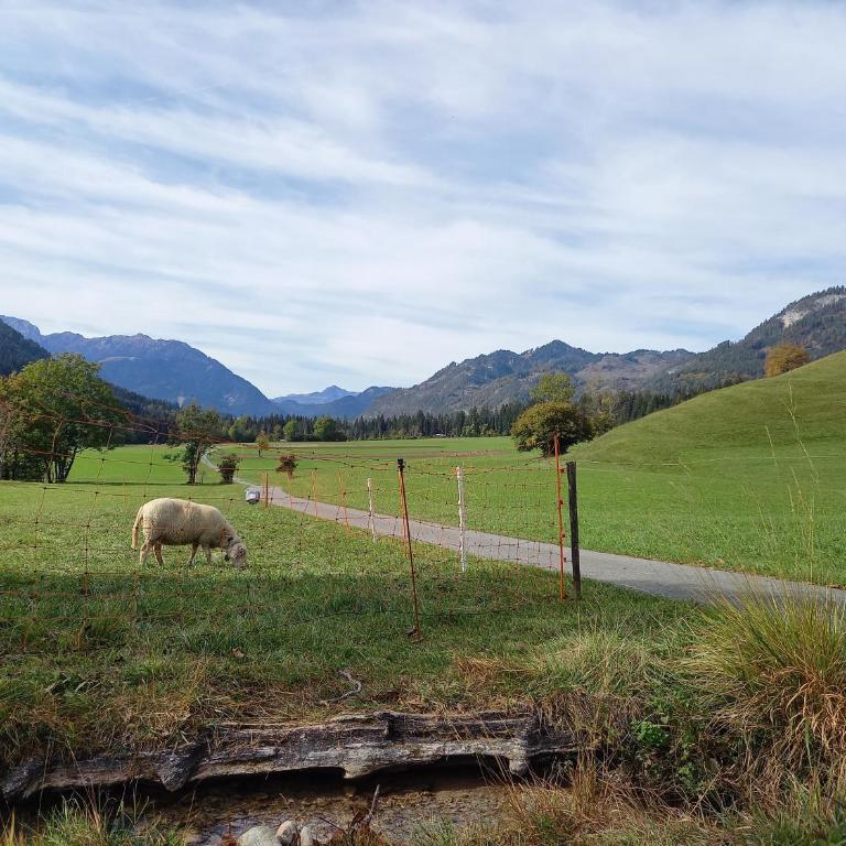 Alie Gusta - Apartment mit Blick auf die Berge - 32
