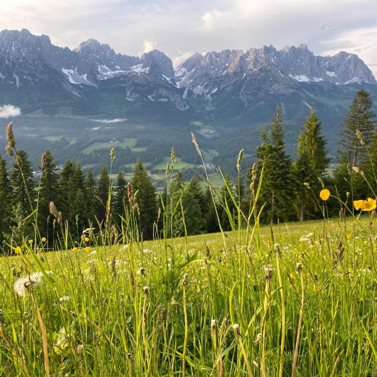 Alpen Studio Ellmau I - Apartment mit 2 Schlafzimmern - 33