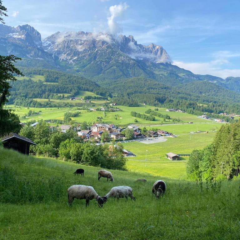 Alpen Studio Ellmau I - Apartment mit 2 Schlafzimmern - 32