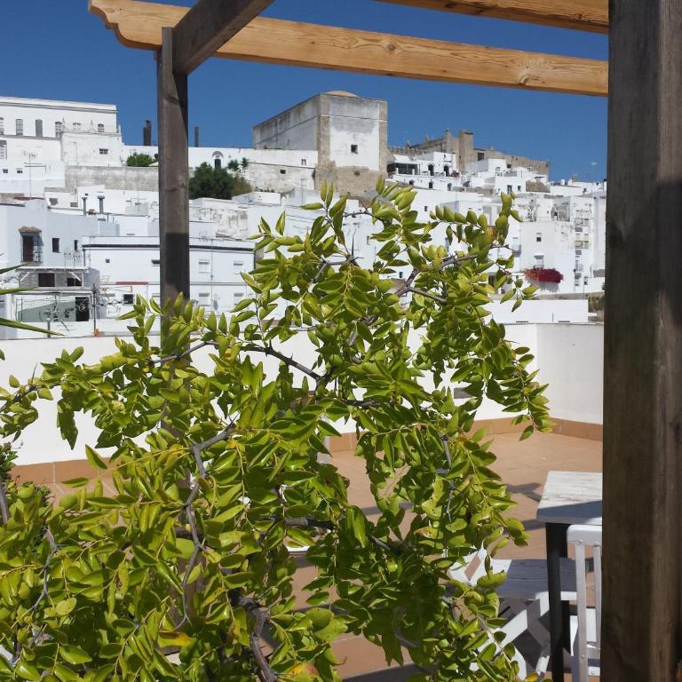 Apartamentos y Estudios Casa de la Hoya - Estudio (2 adultos) - 1