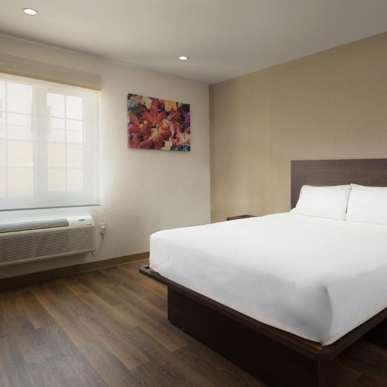 Extended Suites Tijuana Macroplaza - Queen Suite - 7