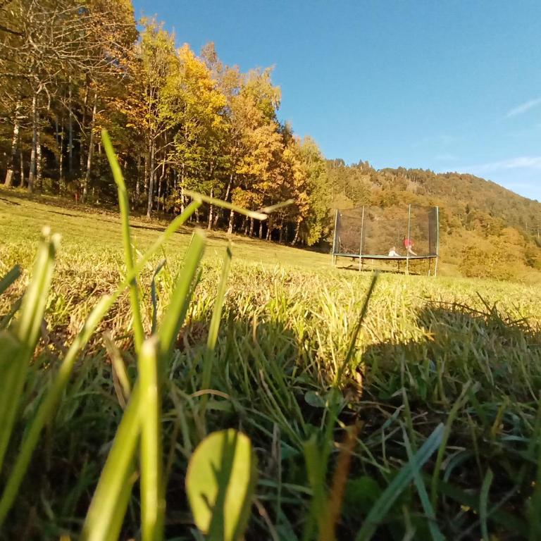 Waldner's Ferienwohnung - Apartment mit Blick auf die Berge - 44
