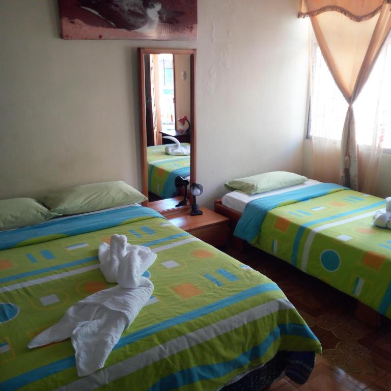 Hostal Miconia - Habitación Cuádruple Clásica - 3