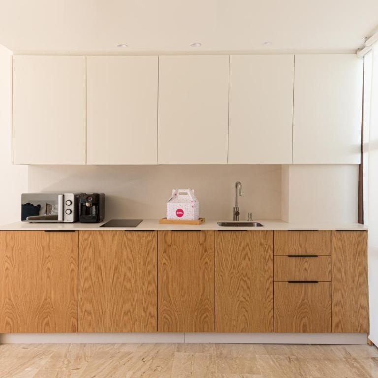 Puerta Catedral Apartments - Apartamento Ático Dúplex con terraza privada - calle Alemanes 15 - 12