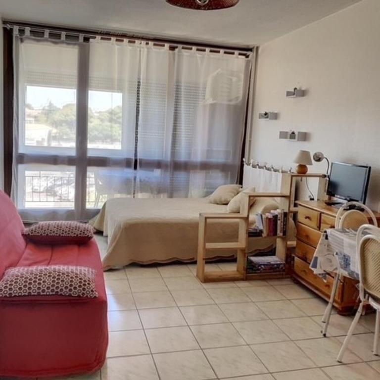 Appartement Climatisé avec Balcon, Animaux Admis - FR-1-503-128 - Studio - 1