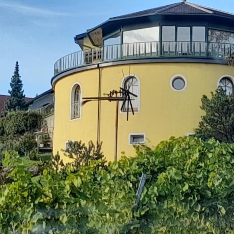 Glanz und Gloria Weingartenapartment an der Kellerstraße, viele Buschenschänke, sehr ruhige Lage, herrliche Aussicht! - Appartement - Vue sur Jardin - 12