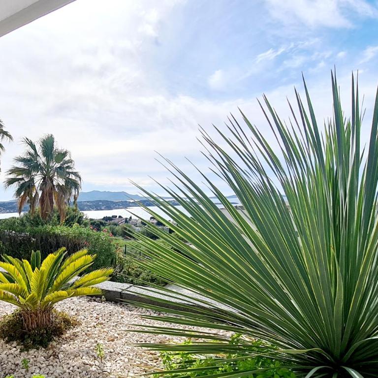 MAGNIFIQUE APPARTEMENT VUE MER - GRANDE TERRASSE ET PISCINE - Appartement 1 Chambre - 6
