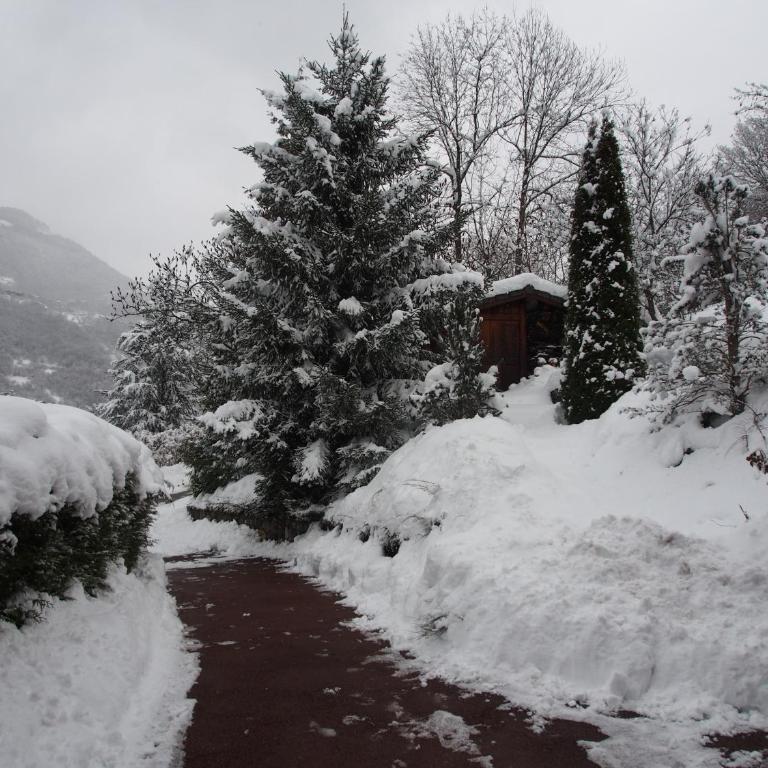 Chalet Greystone - Chalet 3 Chambres - 37