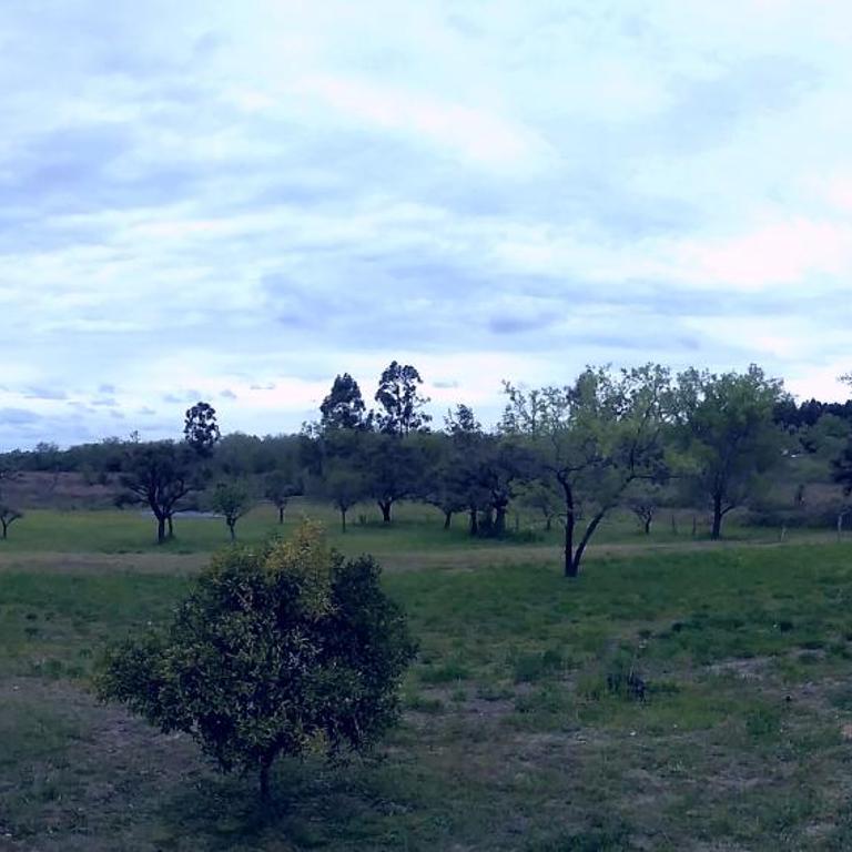 Los Agapantos - Casa de 2 dormitorios - 16