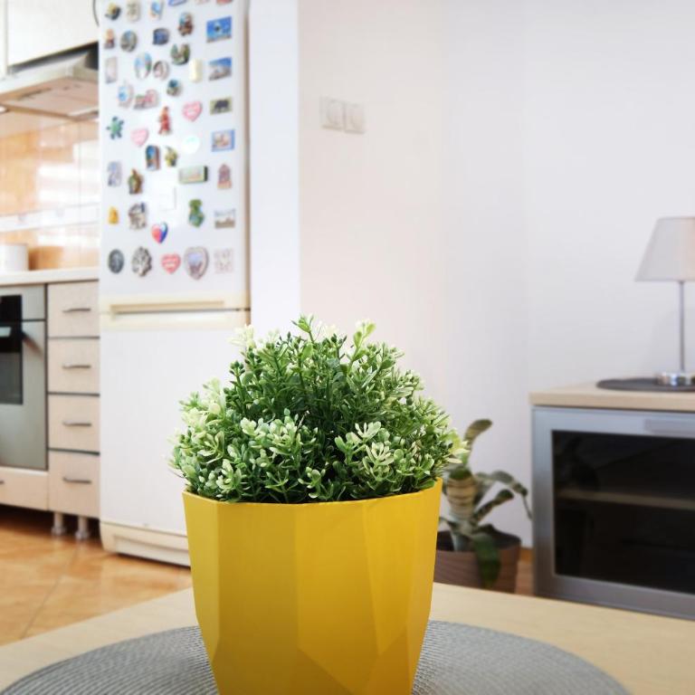 Lion Apartment - Belgrade - One-Bedroom Apartment - 6