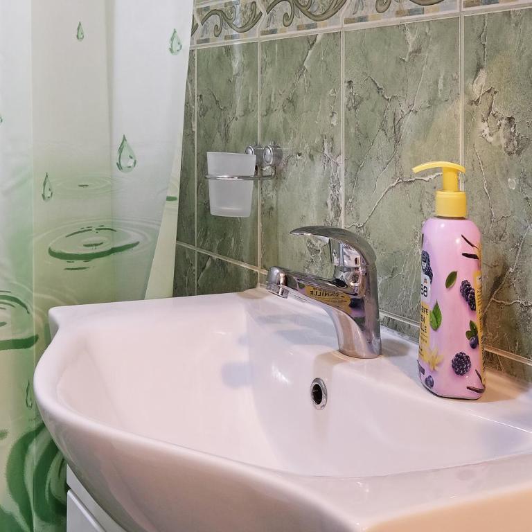 Lion Apartment - Belgrade - One-Bedroom Apartment - 22