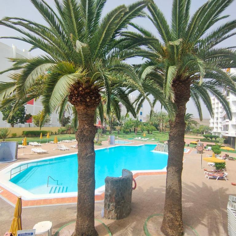 PLAYA DEL INGLES -2 balcons- AGAETE PARQUE - Two-Bedroom Apartment - 17