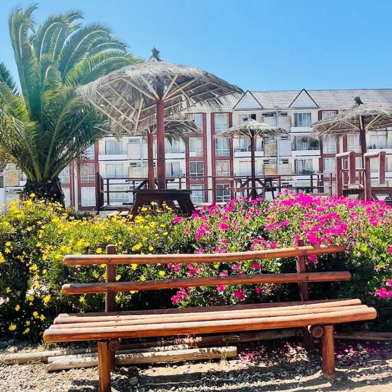 Cuatro Esquinas de Italia - Apartamento - 21