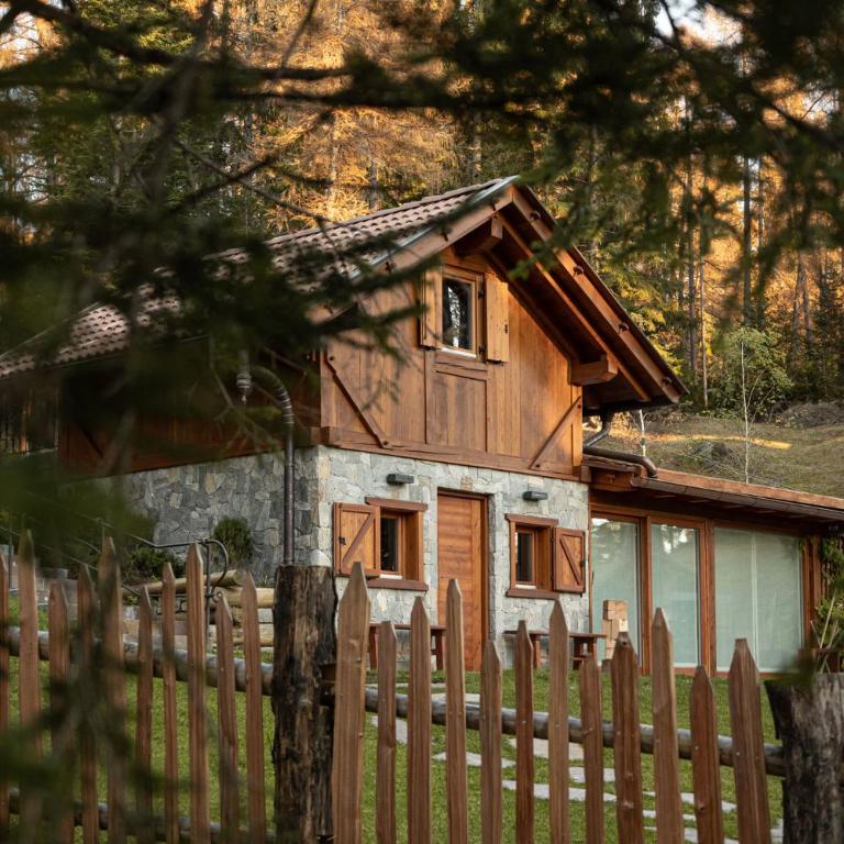 Cain Comfort Chalet - Chalet - 11
