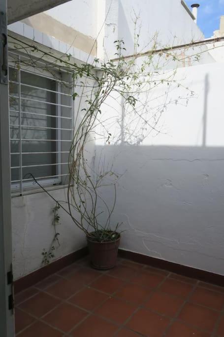 Spacious house with garden, La Plata center. - Casa de 4 dormitorios - 15