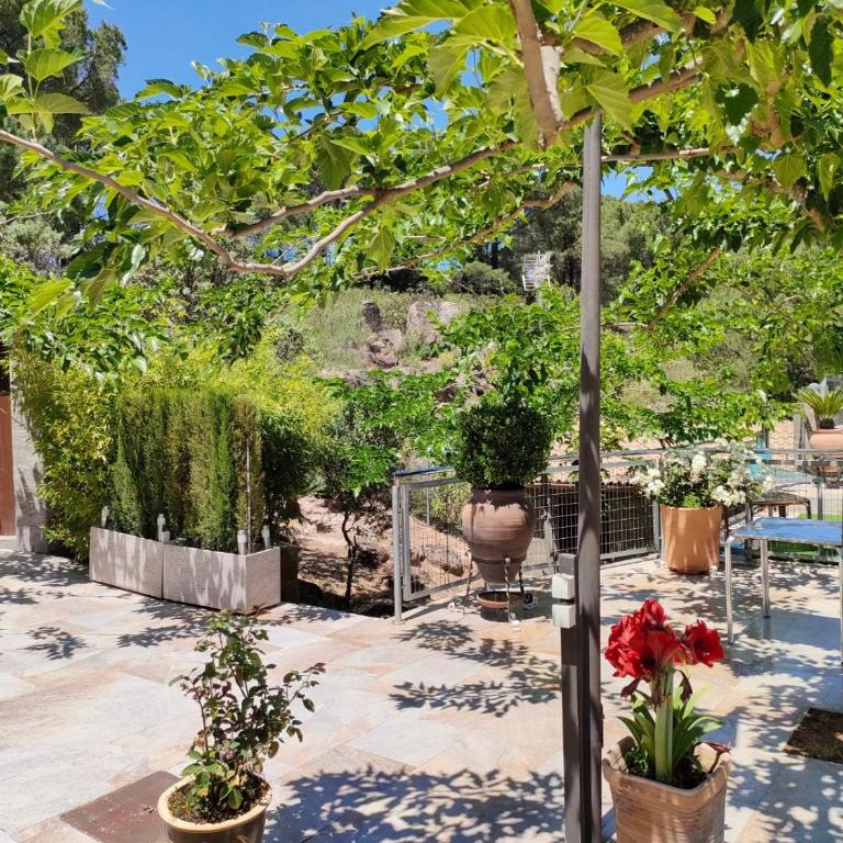 CABAÑA DE MADERA JUNTO AL LAGO LAS JARAS - Two-Bedroom Chalet - 18