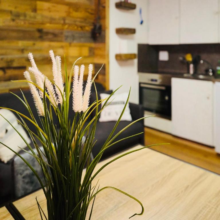 Charmant petit appartement à Grimentz au pied des pistes - Apartment mit 1 Schlafzimmer - 6