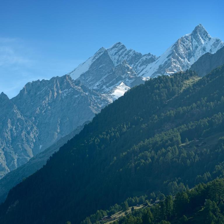 Monte Rosa Boutique Hotel - Superior Doppel- oder Zweibettzimmer - 2