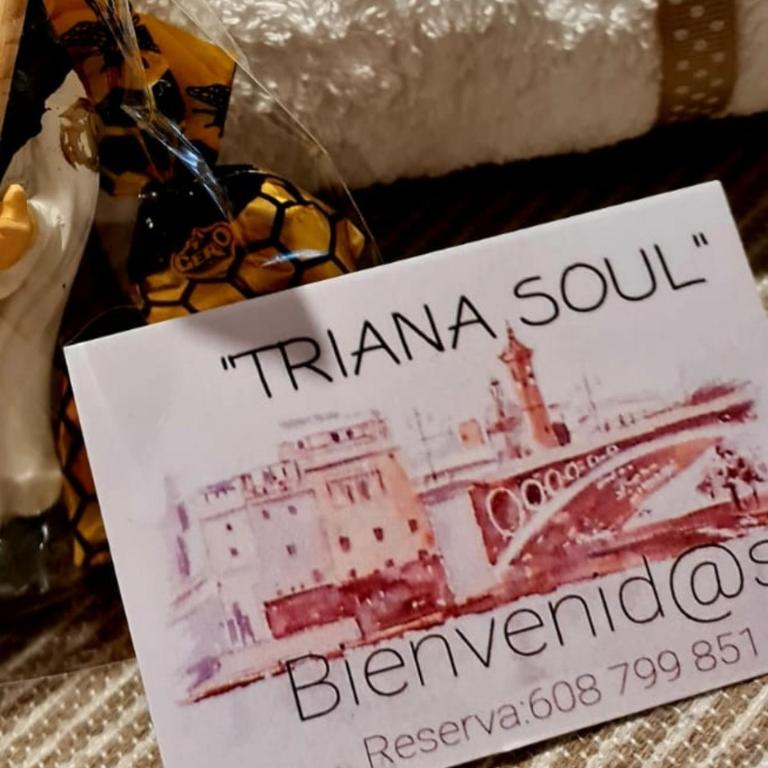 Triana Soul Marcur - Apartamento de 2 dormitorios - 13