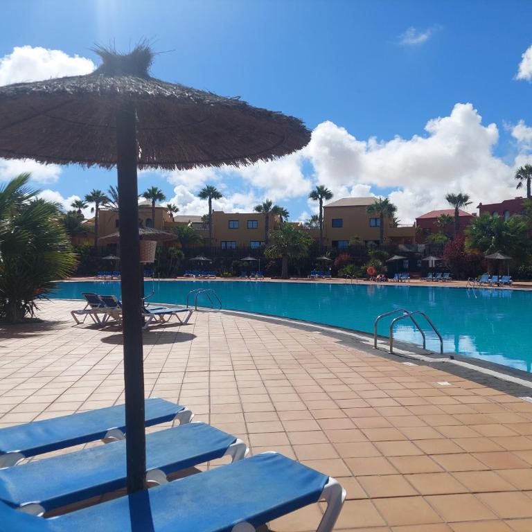 Sweet Home by Sea You There Fuerteventura - Apartamento con vistas al jardín - 20