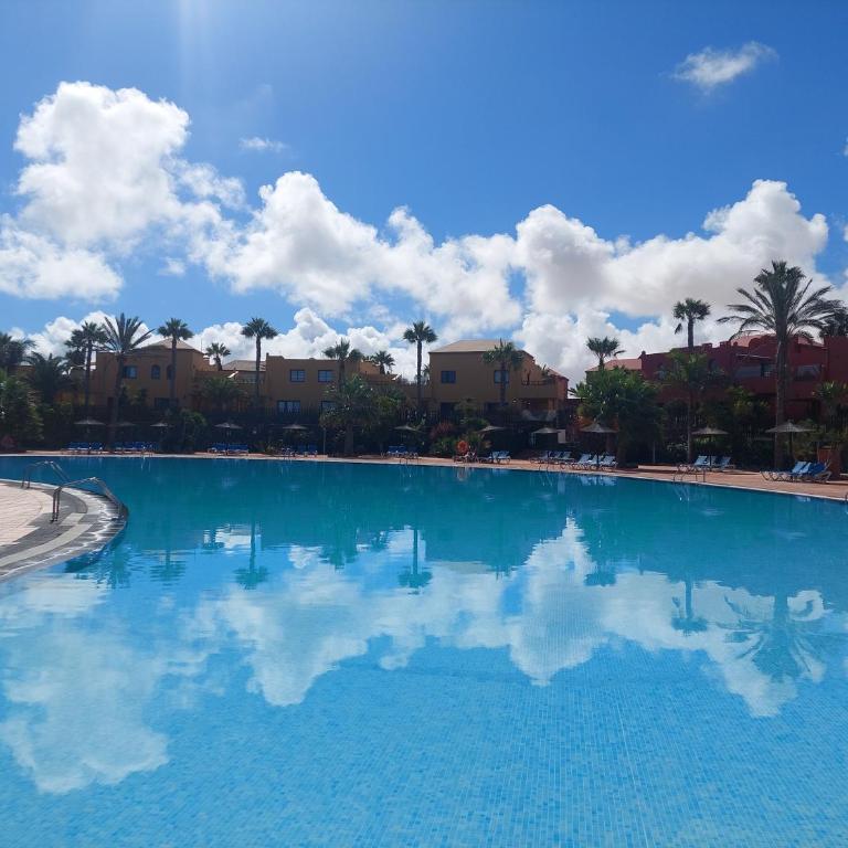 Sweet Home by Sea You There Fuerteventura - Apartamento con vistas al jardín - 44