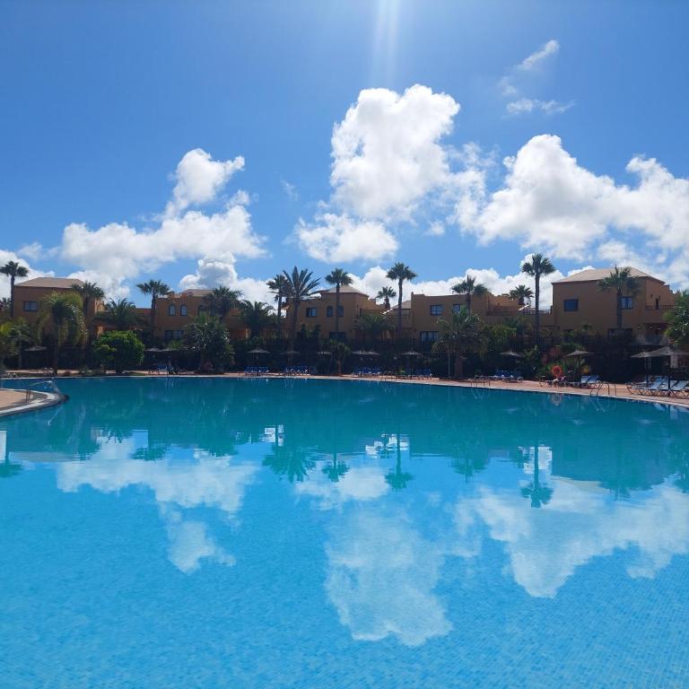 Sweet Home by Sea You There Fuerteventura - Apartamento con vistas al jardín - 21