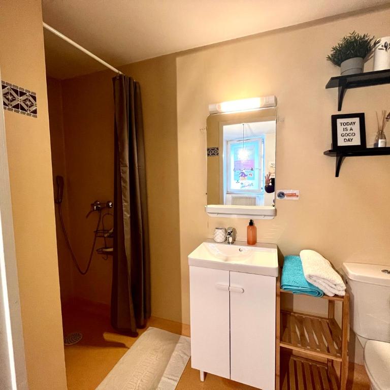 Le Mini Nid - Appartement 1 Chambre - 3