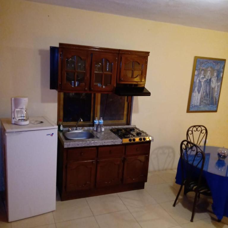 La Casa Rosa Guanajuato - Superior Apartment - 5