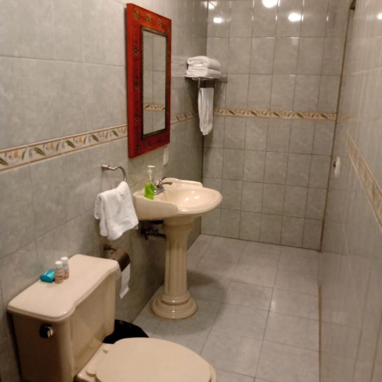 La Casa Rosa Guanajuato - Superior Apartment - 10